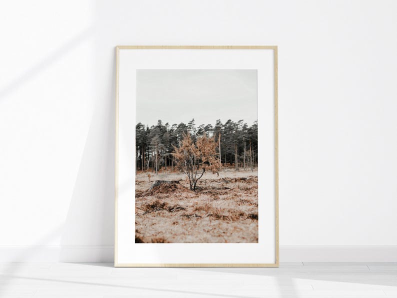 Juego de 6 fotografías imprimibles de estilo rústico de granja para pared, impresión de vacas de las Tierras Altas, arte de pared grande de 6 piezas de granja, impresión de flores silvestres imagen 6