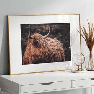 Arte mural de vaca de las Tierras Altas, arte mural grande de ganado del oeste, impresión fotográfica rústica horizontal, póster de vaca Longhorn, lienzo imprimible de animales de granja imagen 6