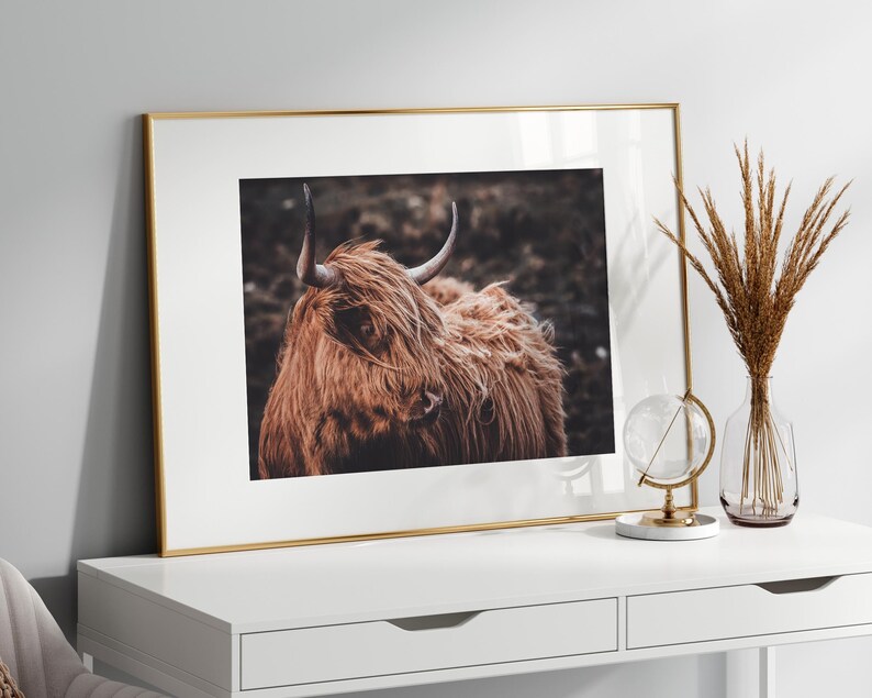 Arte mural de vaca de las Tierras Altas, arte mural grande de ganado del oeste, impresión fotográfica rústica horizontal, póster de vaca Longhorn, lienzo imprimible de animales de granja imagen 6