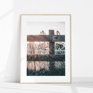 Juego de 6 fotografías imprimibles de estilo rústico de granja para pared, impresión de vacas de las Tierras Altas, arte de pared grande de 6 piezas de granja, impresión de flores silvestres imagen 5