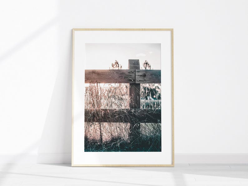 Juego de 6 fotografías imprimibles de estilo rústico de granja para pared, impresión de vacas de las Tierras Altas, arte de pared grande de 6 piezas de granja, impresión de flores silvestres imagen 5
