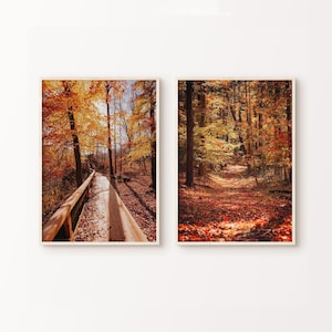 Fall Forest Landscape Set of 2 Prints, Printable Rustic Wall Decor, Red Fall Leaf Forest Photography Print, Farmhouse Autumn Large Wall Art