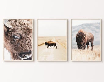 Buffalo 3 stuks muurkunst, bizon set van 3 digitale prints, zuidwestelijke grote muurkunst, afdrukbare bizon poster, boerderij muur decor