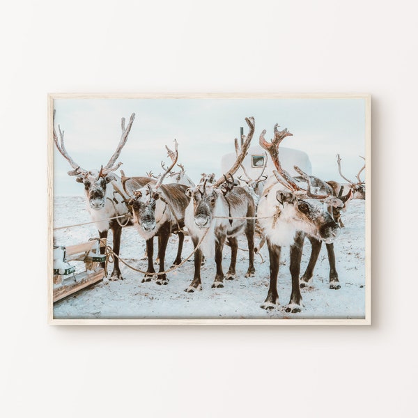 Reindeer Printable Photography, Winter Theme Horizontal DIGITAL Print, Christmas Holidays Wall Decor, Snowy Landscape Wall Art, Reindeer Art