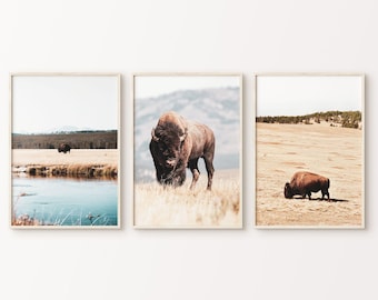 Bison 3 stuks muurkunst, buffel set van 3 digitale prints, zuidwestelijke grote muurkunst, afdrukbare bizon poster, boerderij muur decor
