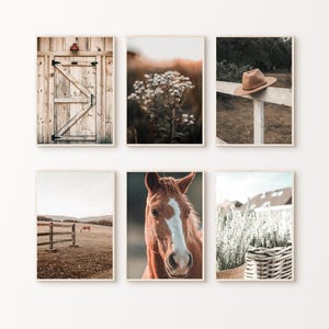 Printable Boho Southwest Set of 6 Prints, Horse Large Wall Art, Rustic Farmhouse Gallery Wall Set, Western Photography, Wildflowers Print