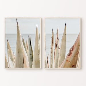 Boho 2er Set Split Fotografie, Sukkulenten druckbare Wandkunst, Meereslandschaft Agave Print, Boho Kakteen Digitaldruck, botanische große Wandkunst