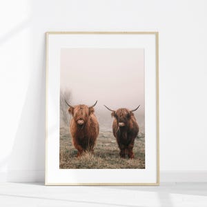 Juego de 6 fotografías imprimibles de estilo rústico de granja para pared, impresión de vacas de las Tierras Altas, arte de pared grande de 6 piezas de granja, impresión de flores silvestres imagen 2