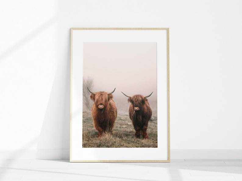 Juego de 6 fotografías imprimibles de estilo rústico de granja para pared, impresión de vacas de las Tierras Altas, arte de pared grande de 6 piezas de granja, impresión de flores silvestres imagen 2