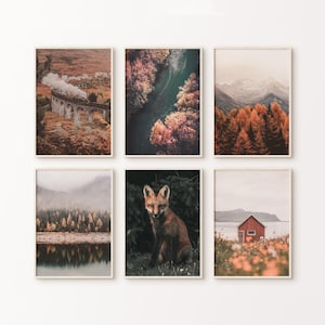 秋の森の写真プリント6枚セット、自然のプリントギャラリーウォールセット、素朴な北欧の風景プリント、モダンなスカンジナビアの大きなウォールアート