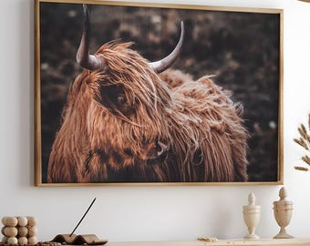 Arte de parede de vaca das Terras Altas, arte de parede grande de gado ocidental, impressão de fotografia rústica horizontal, pôster de vaca de chifres longos, tela de animal de fazenda para impressão