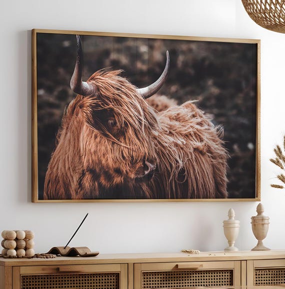 Highland Cow Wall Art, Western Cattle Large Wall Art, Horizontal Rustic Photography Print, Longhorn Cow Poster, Printable Farm Animal Canvas