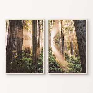 Nature Set of 2 Photography, Printable Forest Landscape 2 Pieces Large Wall Art, Green Nature Prints Set, Nordic Forest Digital Art