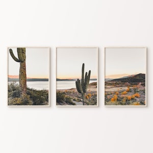 Arizona Desert 3 Pieces PRINTABLE Photography, Desert Landscape Set of 3 Split Print, Cactus Print, Nature Landscape 3 Pieces Large Wall Art