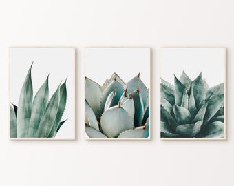 Modern Succulent Set of 3 Prints, Printable Botanical 3 Pieces Wall Art, Minimalist Succulent Poster, Close-up Plants Leaves Photography