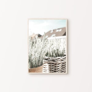 Printable Boho Farmhouse Wall Art, Neutral Botanical Photography, Dried Grass Print, Rustic Farmhouse Print, Wildflowers Large Wall Art