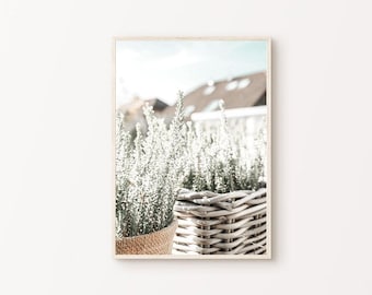 Printable Boho Farmhouse Wall Art, Neutral Botanical Photography, Dried Grass Print, Rustic Farmhouse Print, Wildflowers Large Wall Art