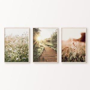Printable Wildflowers Set of 3 Photography, Nature Landscape 3 Pieces Large Wall Art, Green Nature Prints Set, Nordic Forest Digital Art