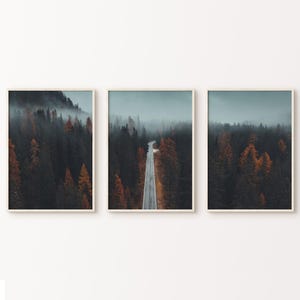 Foggy Forest Set of 3 Prints, Printable Nordic Wall Art, Fall Mountain Poster, Misty Forest 3 Pieces Wall Art, Nature Photography Print Set