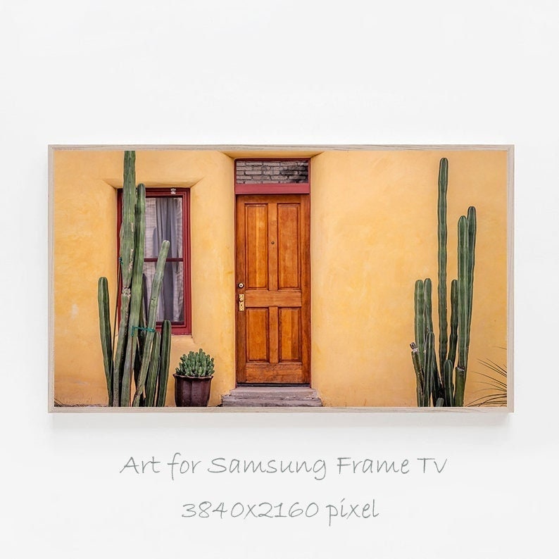 May include: A yellow stucco building with a wooden door and two windows. There are tall cacti growing in front of the building.
