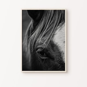 Pferd Schwarzweiß-Fotografie, Wildpferde-Portrait, rustikale Wandkunst, DRUCKBAR Pferdeposter, Tiergroße Wandkunst, Pferdeleinwand