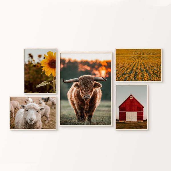 Farmhouse 6 Pieces PRINTABLE Wall Art, Nature Set of 6 Photography, Farm Animals Gallery Wall Set, Highland Cow Wall Art, Sunflower Print