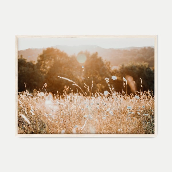 DRUCKBARE Wildblumen Fotografie, Boho Wildblumen Wandkunst, Sonnenuntergang Land Landschaft Druck, Bauernhaus Wand Dekor, botanische Natur Wandkunst