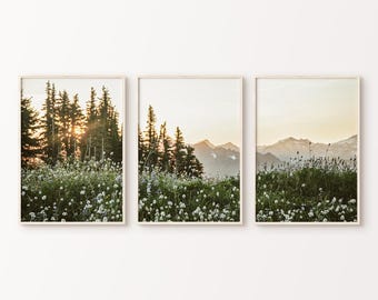 Printable Wildflowers Set of 3 Prints, Nature Landscape 3 Pieces Large Wall Art, Green Nature Photography Set, Nordic Forest Digital Art