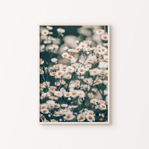 Daisy Printable Photography, Flowery Field Large Wall Art, Farmhouse Spring Wall Decor, Wildflower Photography, Daisies Print, Floral Print