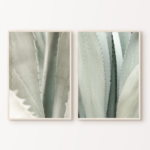 Muted Succulent 2 Stück Prints, druckbare Kaktus 2 Stück Wandkunst, moderne Pflanzen Poster, Boho Neutral große Wandkunst, botanische Fotografie