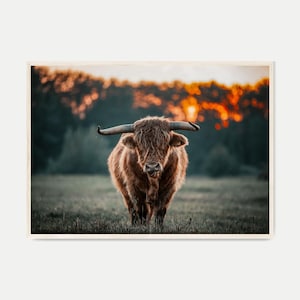 印刷可能なハイランド牛の写真、牛の壁アート、南西部のデジタルプリント、素朴な農家の壁アート、動物のプリント、西洋の壁装飾