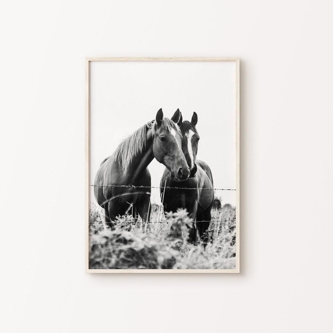 Horses Black and White Photography Print, DIGITAL Rustic Farmhouse ...