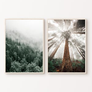 Berg Fotografie, druckbare Waldlandschaft Prints 2er-Set, nebliger, nebliger Wald Poster, Natur 2 Stück Wandkunst, digitaler Download