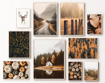 May include: A collection of framed art prints featuring nature scenes. The prints include a deer portrait, a road winding through a mountain landscape, a forest with a wooden fence, and a close-up of autumn leaves. Other prints show a forest from above, a white house by a lake, and pumpkins.