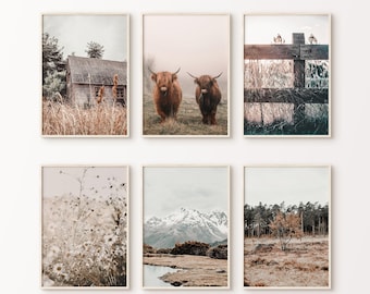 Rustikale Bauernhaus Galerie Wand Set, Natur druckbare Fotografie, Highland Kuh Druck, Bauernhof 6 Stück große Wandkunst, Wildblumen Druck