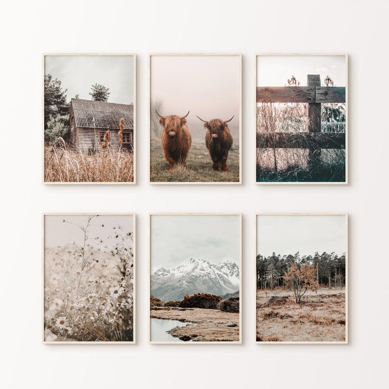 Juego de 6 fotografías imprimibles de estilo rústico de granja para pared, impresión de vacas de las Tierras Altas, arte de pared grande de 6 piezas de granja, impresión de flores silvestres imagen 1