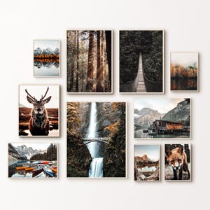 Bergsee Fotografie, Bergsee Fotografie, 10er Set Naturbilder, Waldlandschaft, Reh & Fuchs Druck, rustikales Dekor