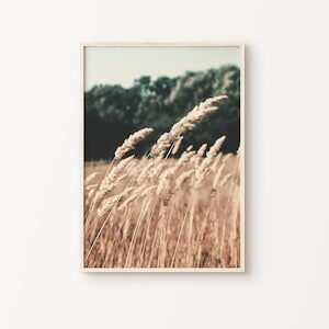 Afdrukbare tarwefotografie, tarwe kunst aan de grote muur, tarweveld print, Boho neutrale botanische muurkunst, boerderij muur decor, land print