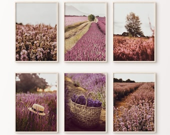 Conjunto de 6 impresiones digitales de campos de lavanda, arte mural grande con flores moradas, decoración rústica de primavera, fotografía provenzal de lavanda.