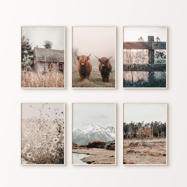 Rustic Farmhouse Gallery Wall Set, Nature Set of 6 Printable Photography, Highland Cow Print, Farm 6 Pieces Large Wall Art, Wildflower Print