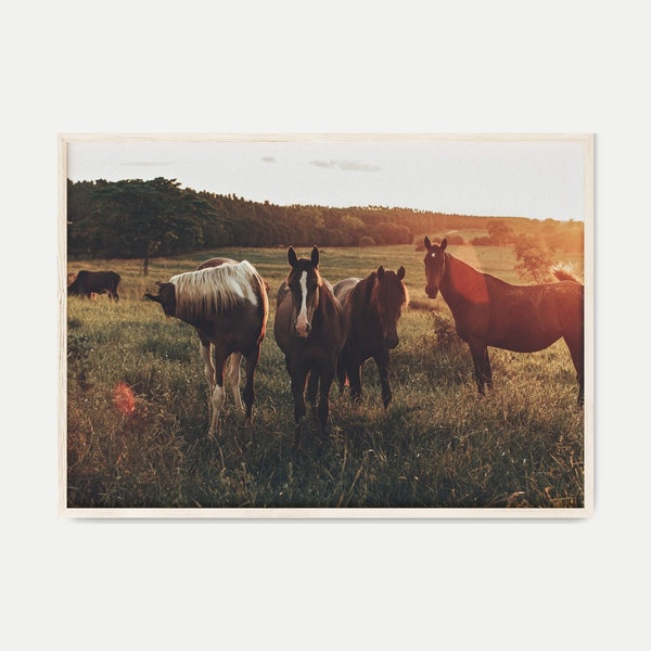 Wild Horses Photography Print, DIGITAL Rustic Farmhouse Landscape Large Wall Art, Modern Farmhouse Decor, Farm Animals Print, Horses Poster