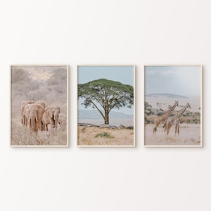 Africa Set of 3 Printable Photography, South Africa 3 Large Wall Art, Nature Landscape Photography, Boho Travel Print, Wild Animal Poster
