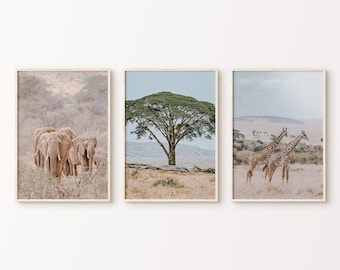 Afrika 3er Set druckbare Fotografie, Südafrika 3 große Wandkunst, Natur Landschaft Fotografie, Boho Reisedruck, Wildtier Poster