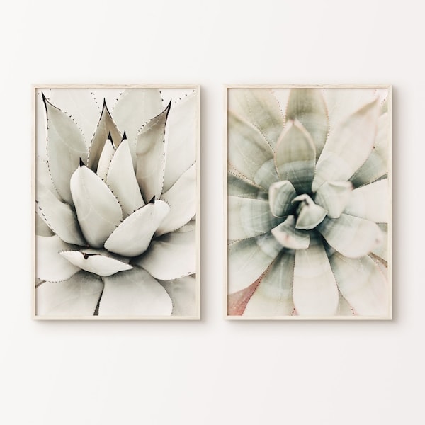 Succulent Set of 2 DIGITAL Prints, Cactus 2 Pieces Wall Art, White Succulent Poster, Boho Neutral Large Wall Art, Botanical Photography