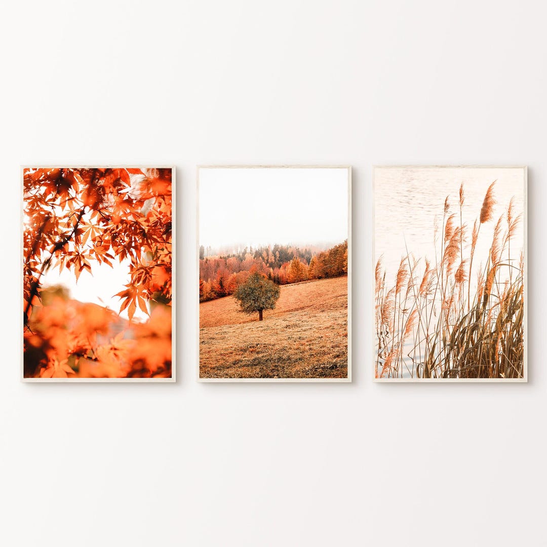 Printable Fall Landscape Set of 3 Photography, Autumn Forest Set of 3 ...