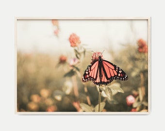 Fotografia stampabile farfalla su fiore, stampa digitale di campi di fiori selvatici, arte da parete grande farfalla, arte da parete primaverile, macrofotografia