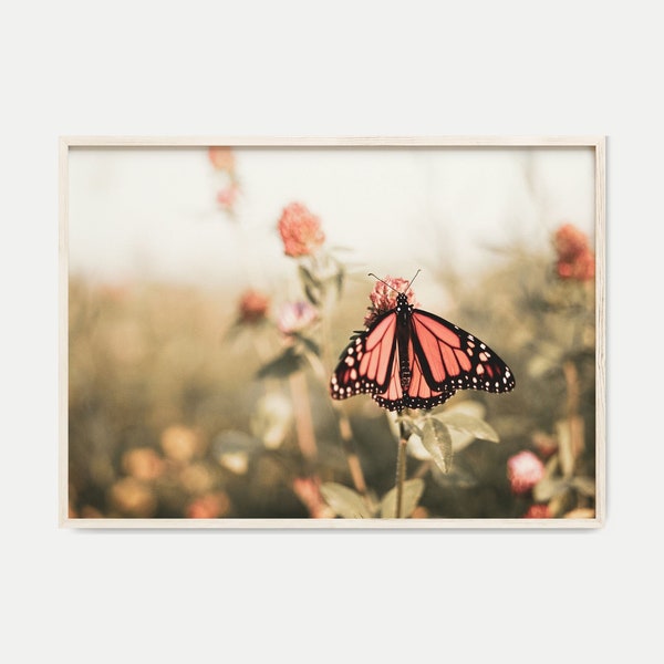 Butterfly on Flower Printable Photography, Wildflower Field Print DIGITAL, Butterfly Large Wall Art, Spring Wall Art, Macro Photography