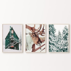 Set of 3 Winter Forest DIGITAL Print, Printable Reindeer Photography, Snow Landscape 3 Pieces Wall Art, Christmas Wall Decor, Cabin Print