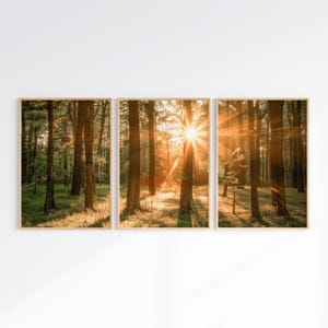Nature Set of 3 Prints, Printable Forest Landscape 2 Pieces Large Wall Art, Green Nature Photography, Nordic Forest Digital Art