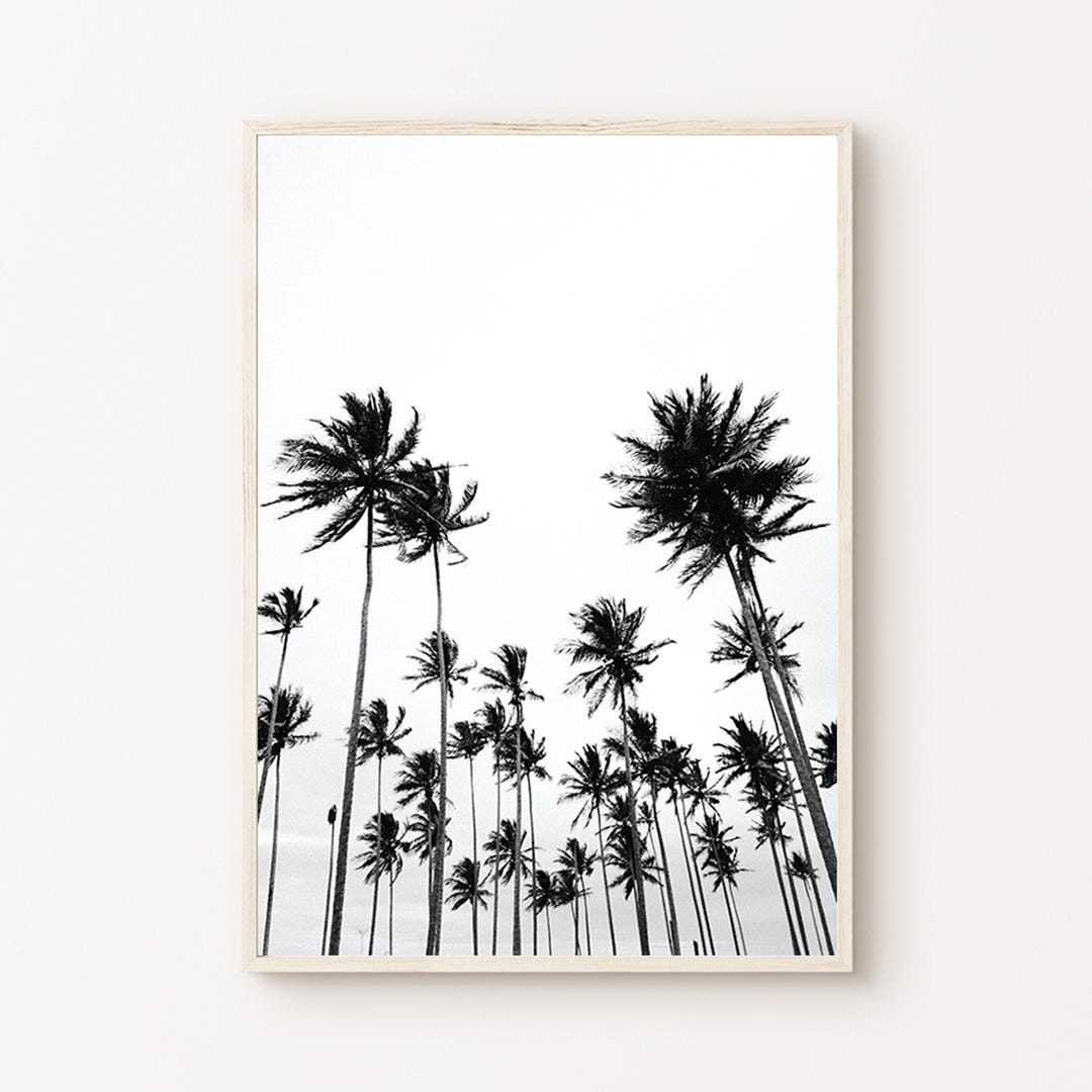 Printable Palm Tree Black and White Photography, Coastal Large Wall Art ...